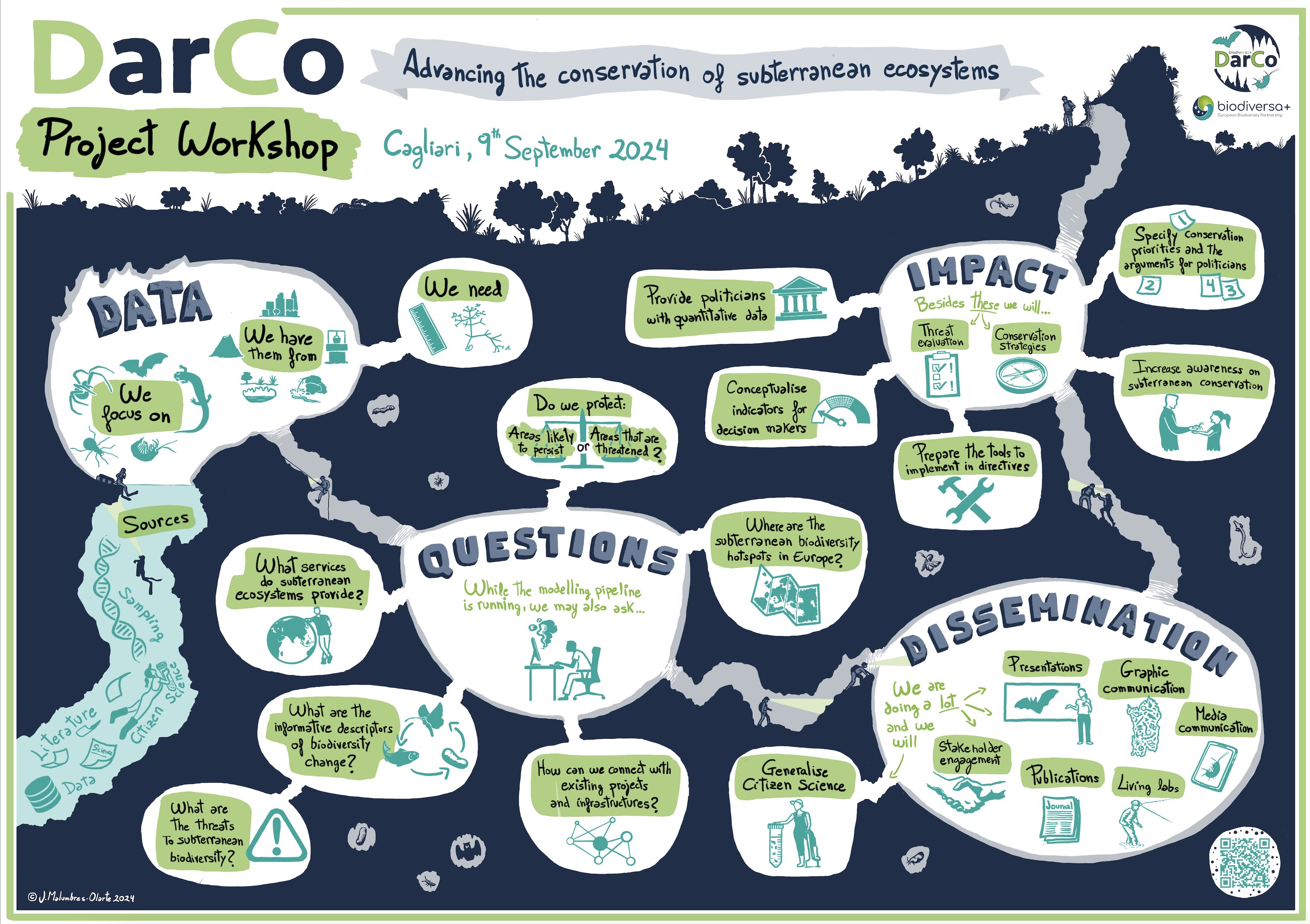 DarCo graphic facilitation