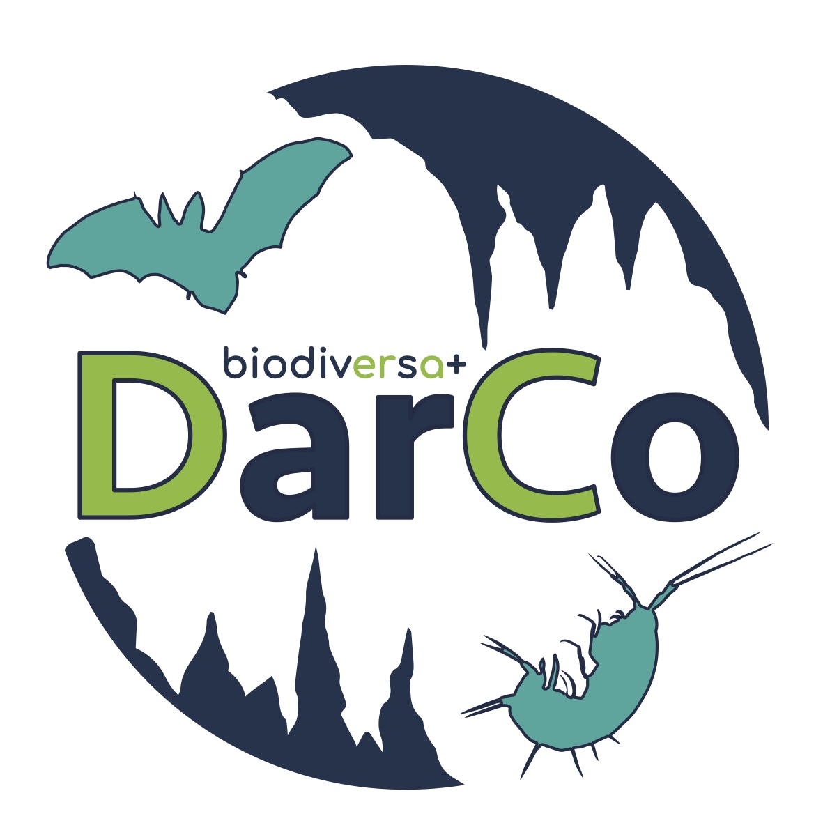 Logo Darco