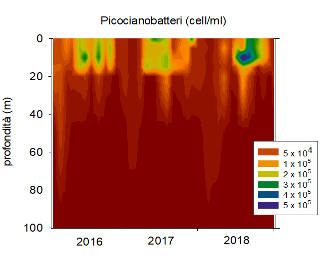 pico1